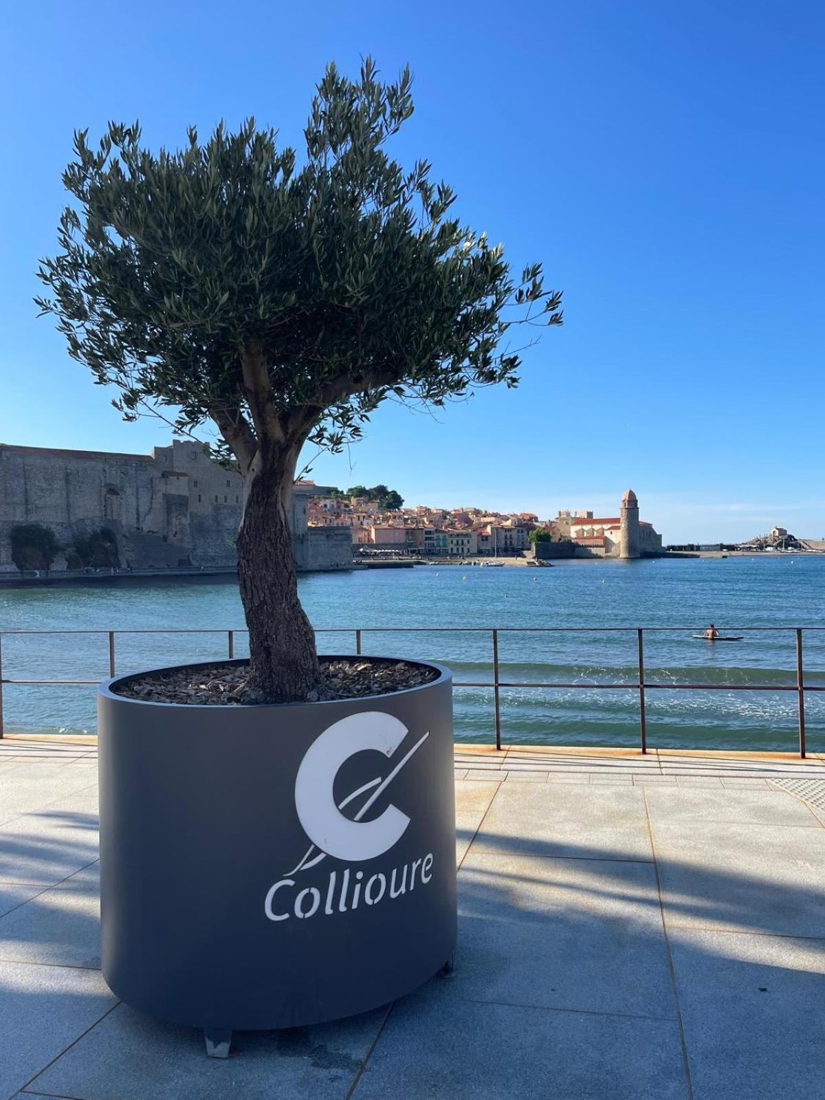 AZUR-Les pieds dans l'eau-Vue sur Mer et Clocher de Collioure en toile de fond - WIFI - PARKING Extérieur photo